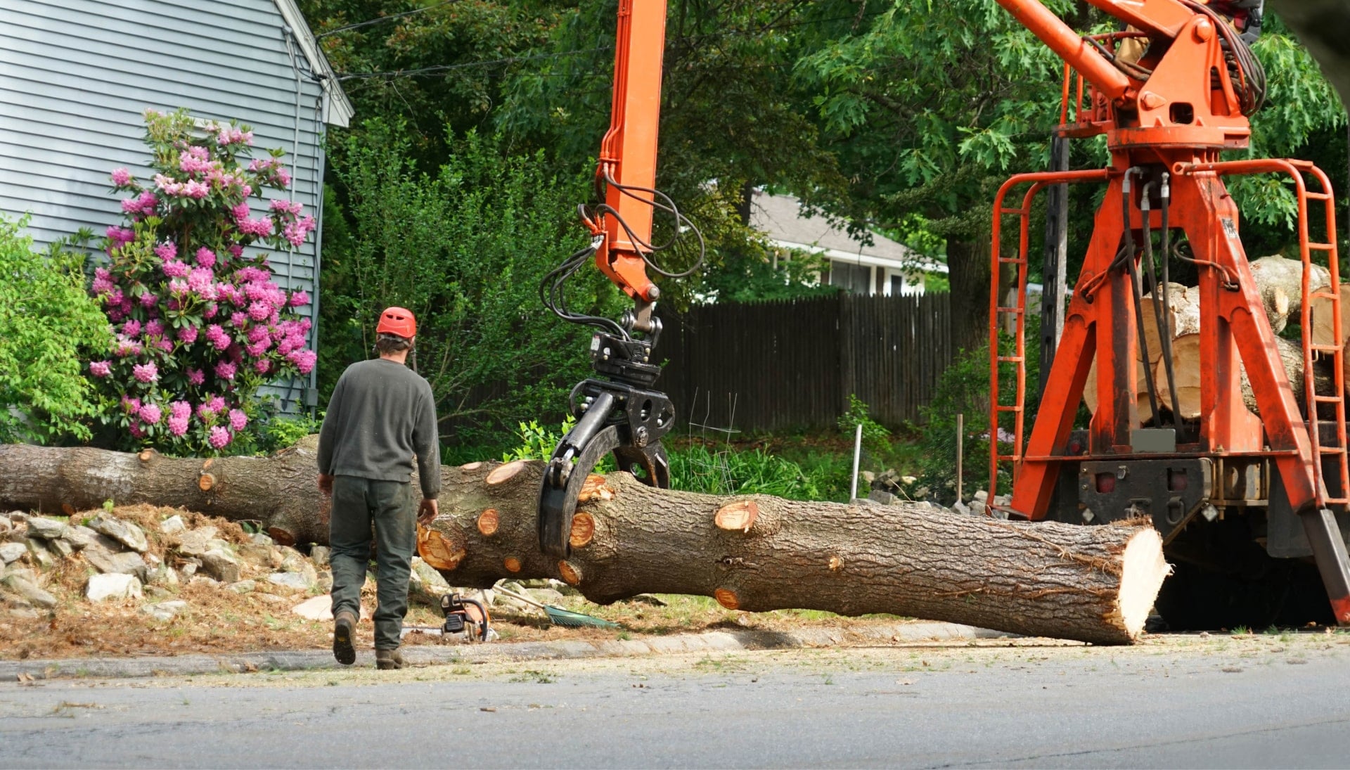 Local partner for Tree removal services in Vacaville