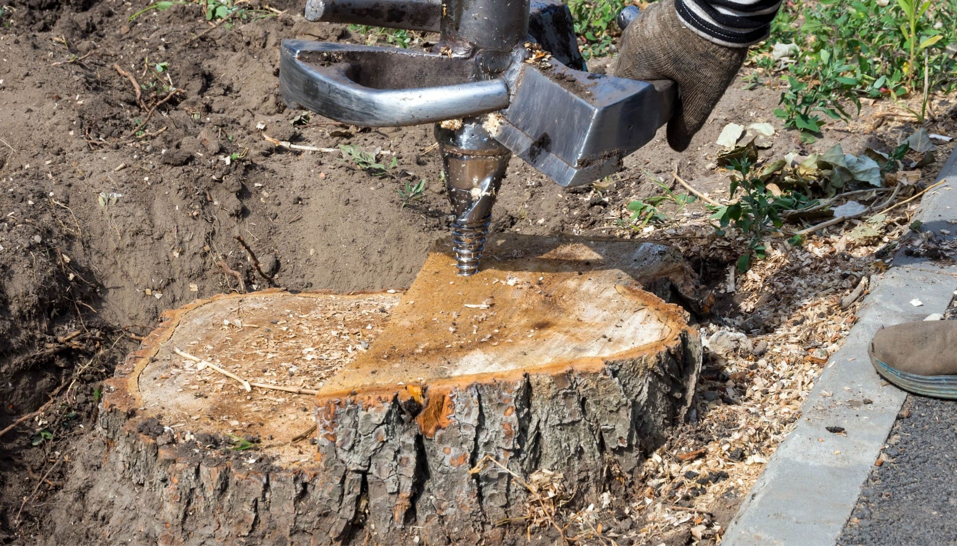 Vacaville Tree stump removal